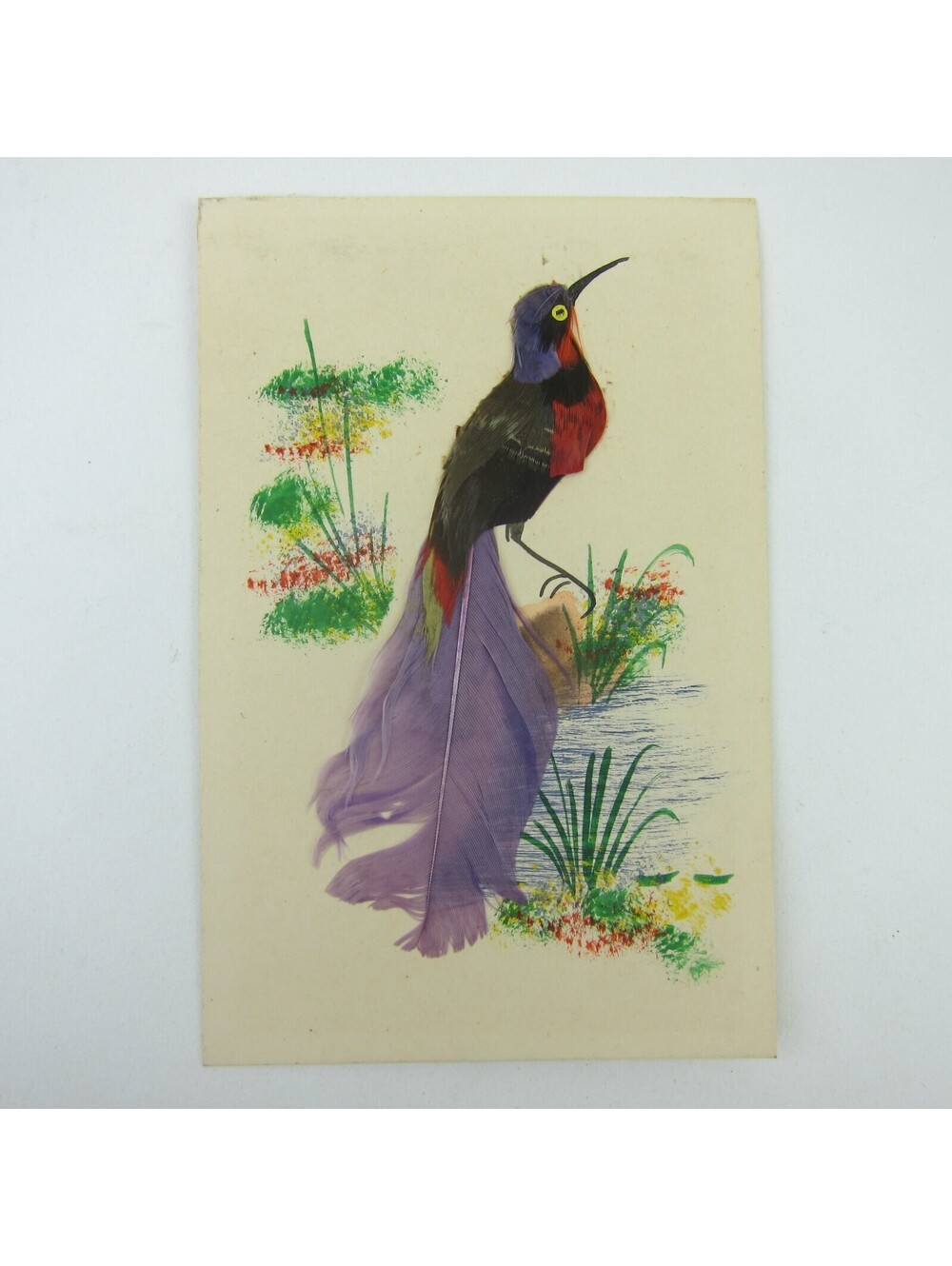 Postcard Bird Black & Purple Real Feathers 3D Handmade Mexico Antique 1910s